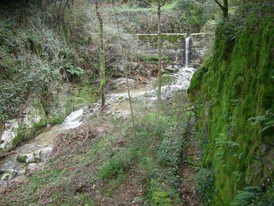 Valescure - Sentier de découverte