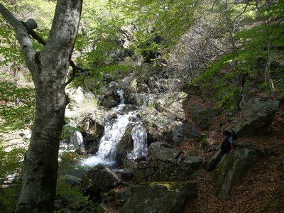 Les Cascades d'Orgon