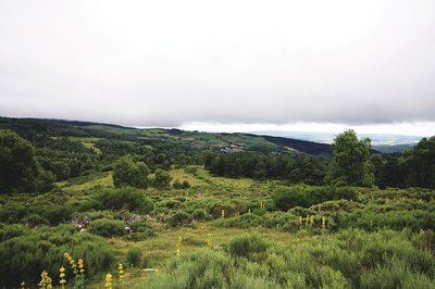 Auriac - Oultet