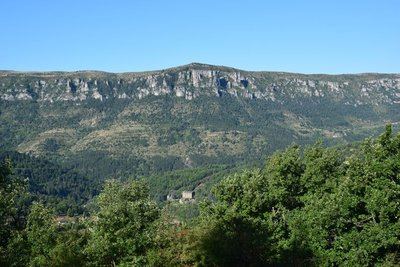 Prunet