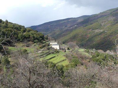 Béal des abrits