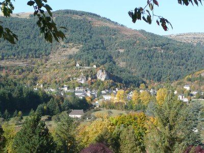 Le versant nord de l' Aigoual