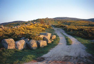Crêtes du Mont Lozère - Trail n°18