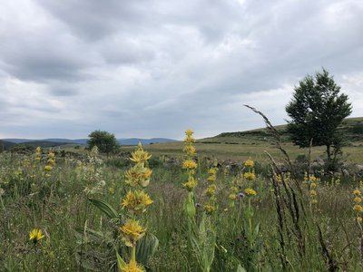 Pont du Tarn - Trail n°23