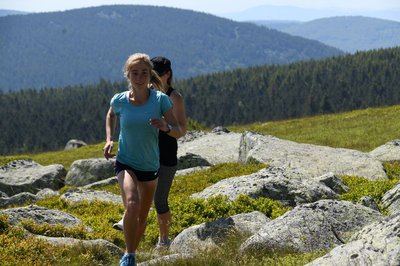 Sommet de Finiels et Pelouse (Variante courte) - Trail n°17v
