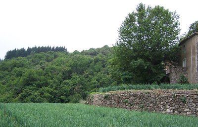 L'Arboux