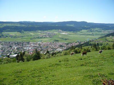 Mont-Vouillot depuis Les Fins N°27