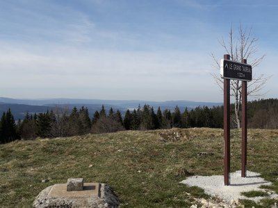 Le Grand Taureau