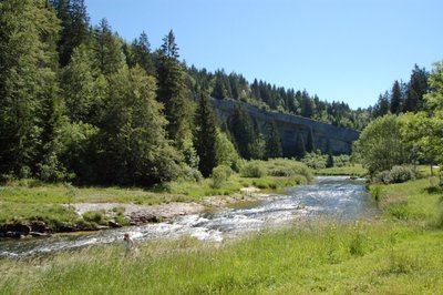 Belle d'Entreroches