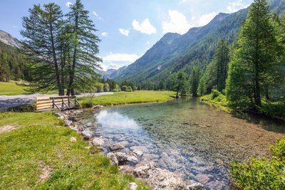 Trail N°08 - Le Lauzet