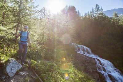 SENTIER THÉMATIQUE : Le Sentier du Mélézin