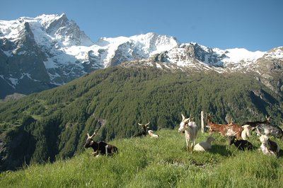 De La Grave au hameau de Ventelon