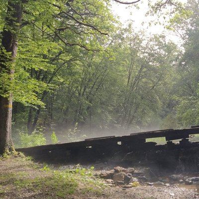 Sentier de découverte de la Source de l'Aube