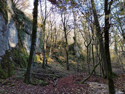 Les Gorges de la Vingeanne