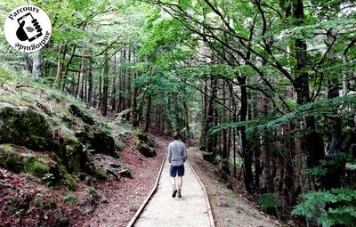Sentier d’Interprétation de la Foret des sens Arboretum de Puechagut