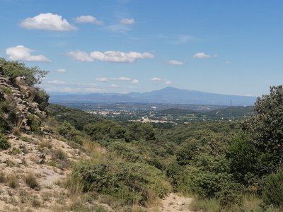 Exploration des bois communaux