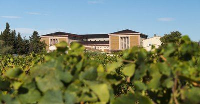 Oenorando® entre Costières et Camargue