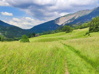 Sur le pas des moines