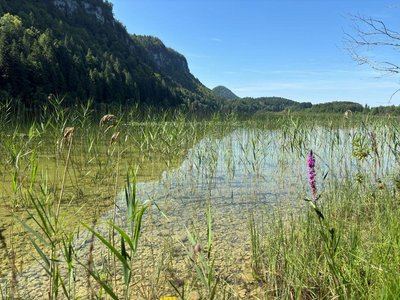 Tour des quatre lacs