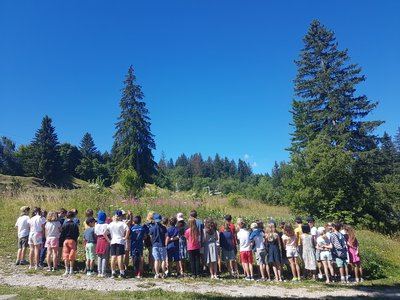 Le sentier des fourmis