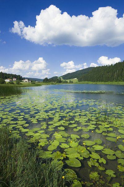 Le Lac de Lamoura
