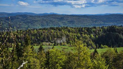 Le Bouquillon