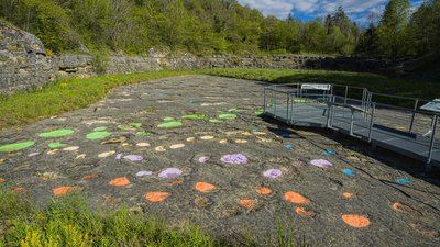 Sur les traces des dinosaures !