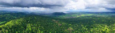 Forêt de la Fresse