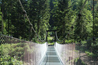 Sentier Interprétation - source de l'Ain - La boucle des passerelles