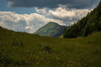 Crêt de Chalam depuis Forens
