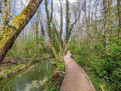 Le Marais des Bidonnes et Canal de Crans