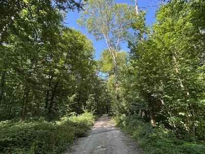 CH3 Le bois de la tour du Lay
