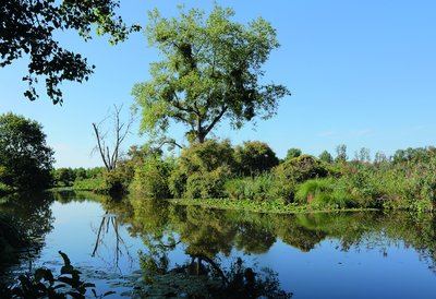 La Haute vallée de l'Essonne