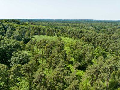 Forêt de Rambouillet et villages pittoresques