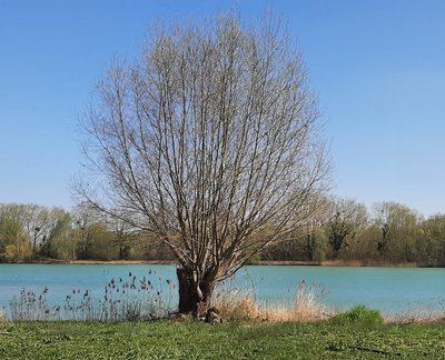 Vers les étangs de Pontpoint