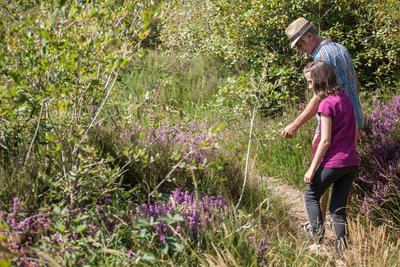 Sentier nature - Le camp des Romains