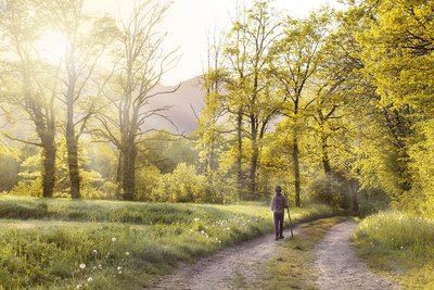 Braye-Sous-Faye - Sentier pédestre n°2