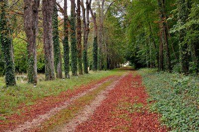 Circuit de randonnée : Vernantes