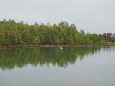 Sentier ornithologique de l'étang des Monteaux