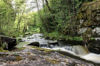 Le Saut du Loup