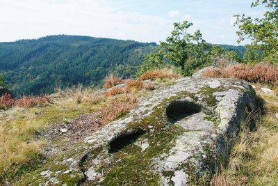 Entre Vedrenne et la Brette