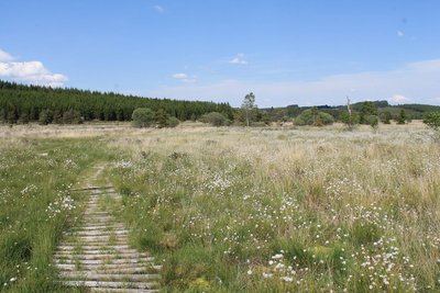 Le sentier des Linaigrettes