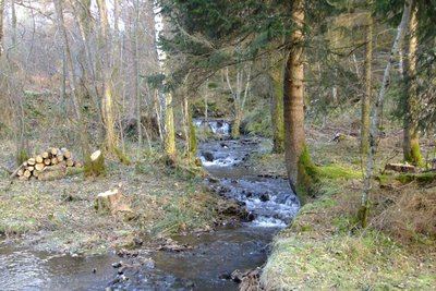 Les chemins de la sombre