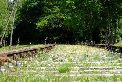 Chemins de traverse