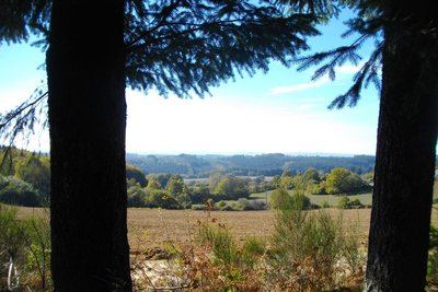 Les Templiers (raccourci)