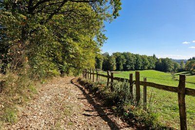 La Randonnée de la Forêt