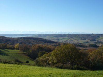 Lespielle : entre moulin et orchidées