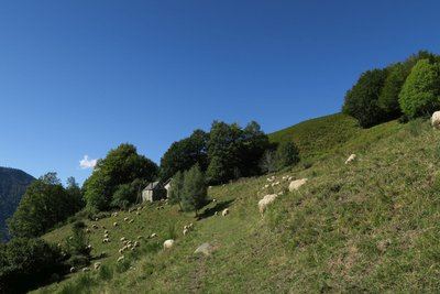 N°60 Sur les traces de l'ours petit circuit