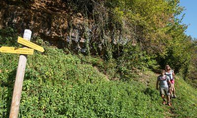 N°22 Chemin des buis de Camploung