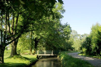 N°85 Bois de Goès-Précilhon